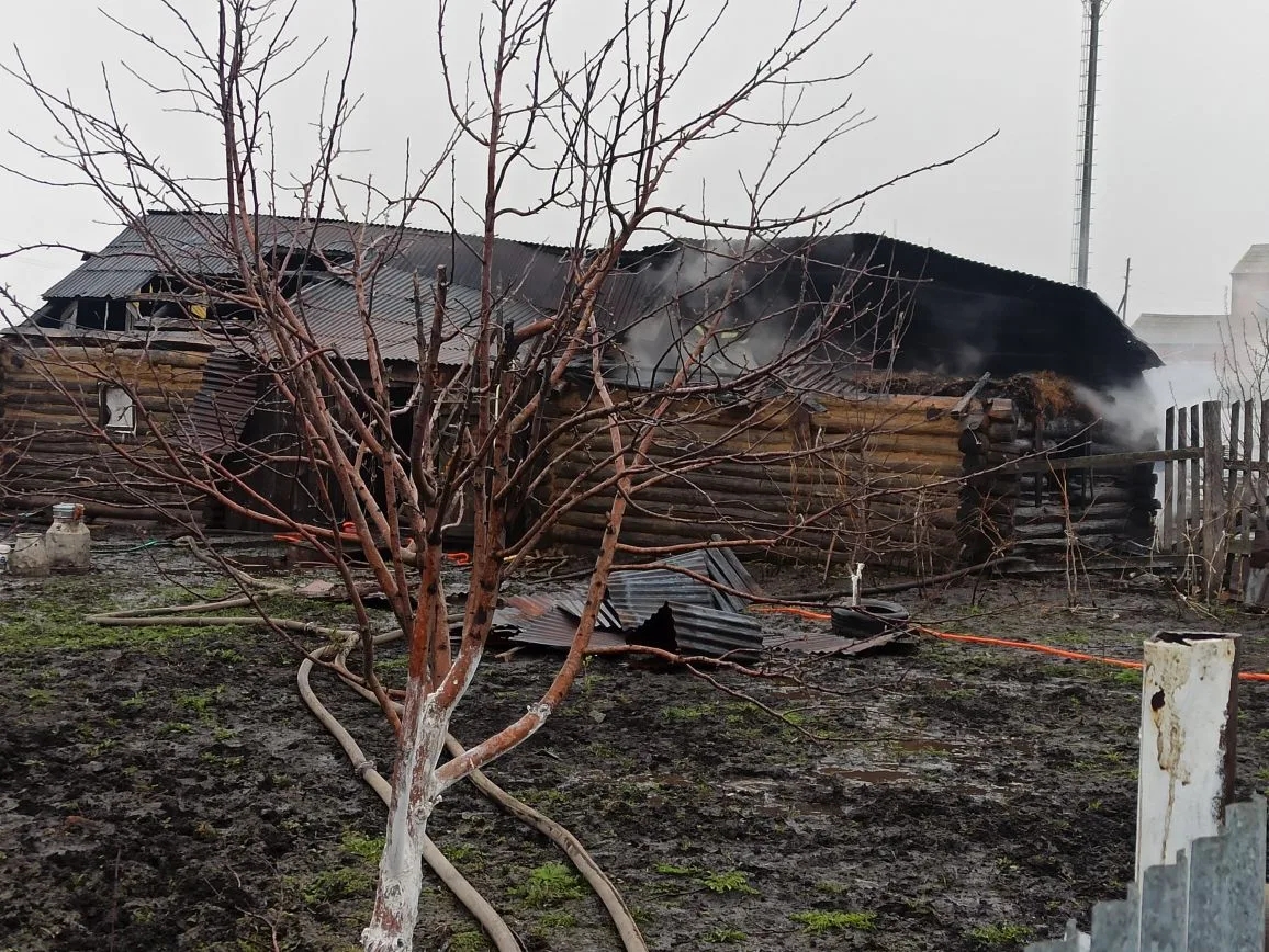 В селе Русская Васильевка Самарской области полыхал бревенчатый сарай