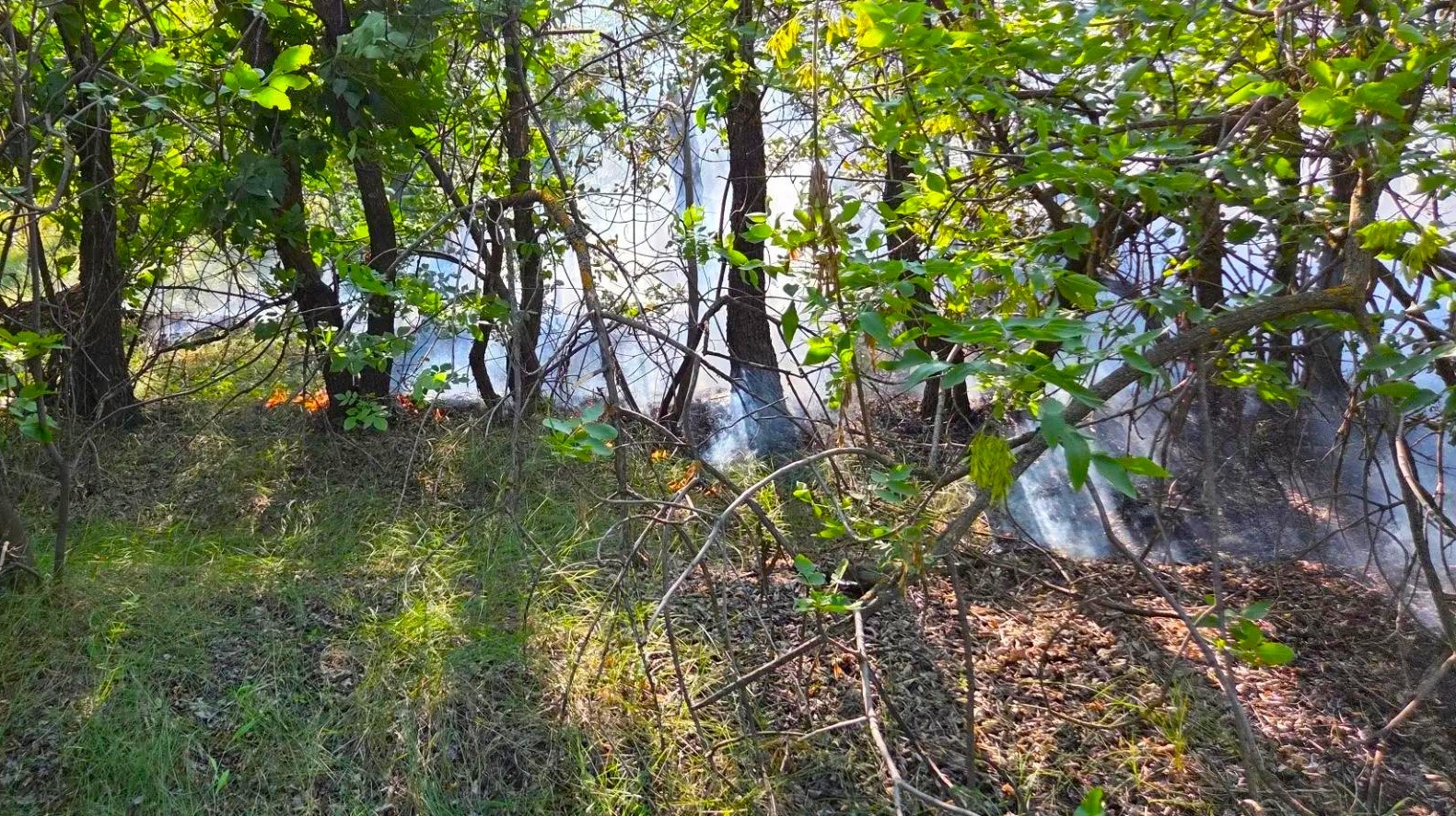Под Самарой полыхало поле на 400 "квадратах"