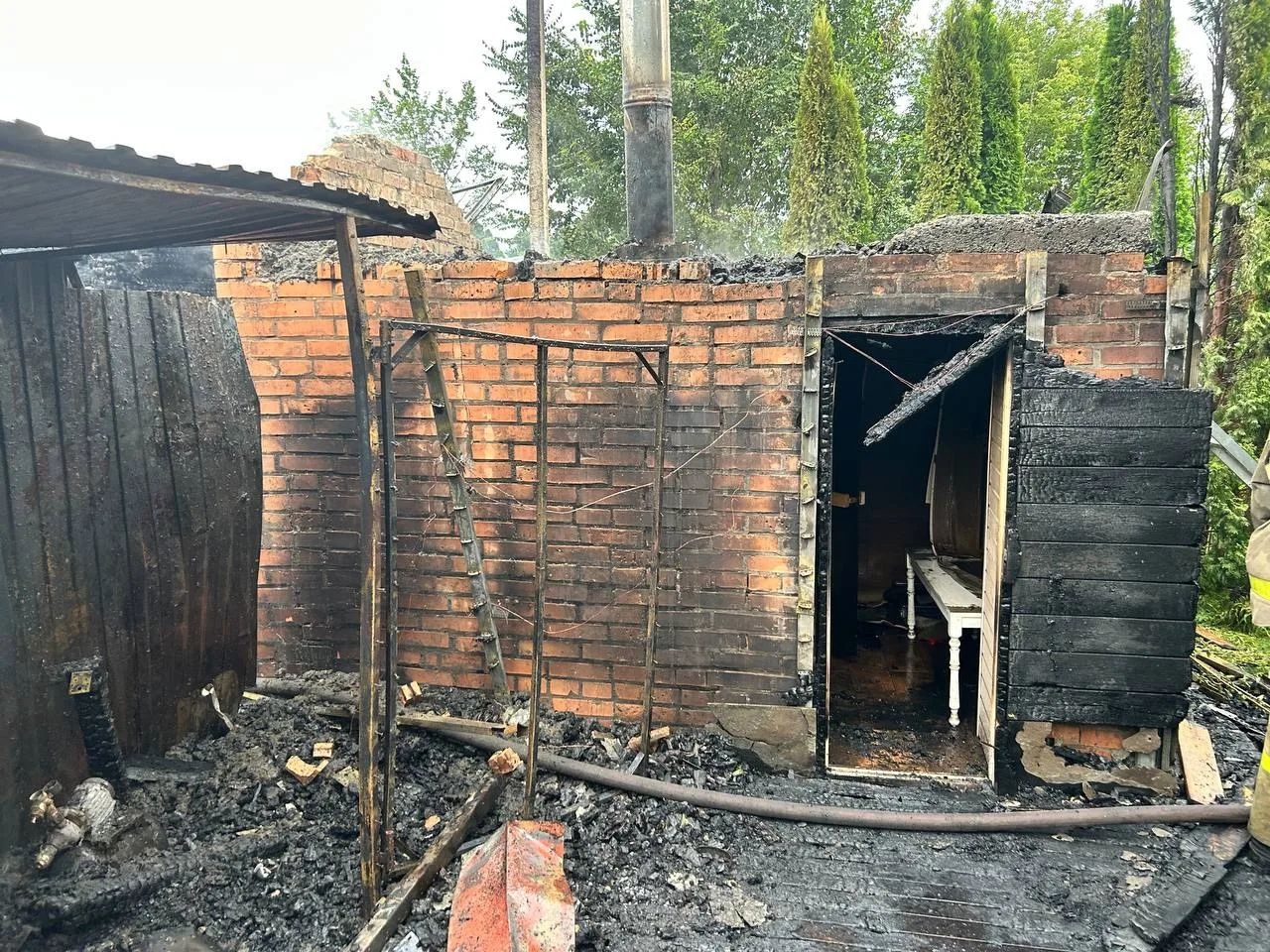 В Васильевке тушили пожар в садовом товариществе