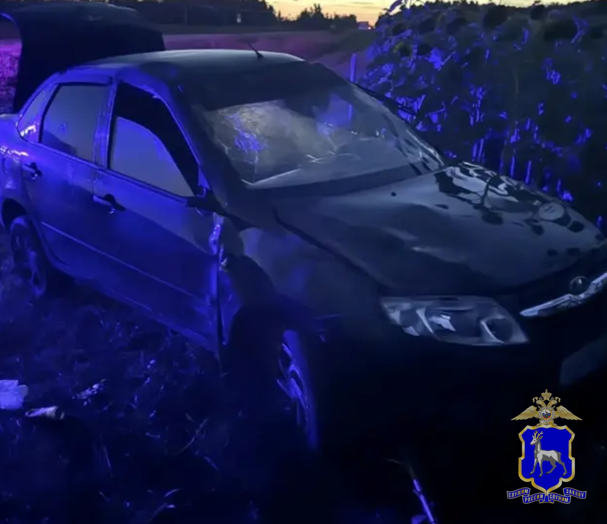 В Самарской области "Гранта" вылетела с трассы в поле с подсолнухами