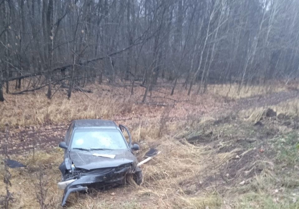 В Кинель-Черкасском районе на трассе опрокинулась иномарка 28 октября