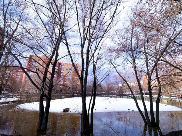 Пытался заманить в фургон: полиция проводит проверку после инцидента около самарской школы с девочкой и незнакомцем