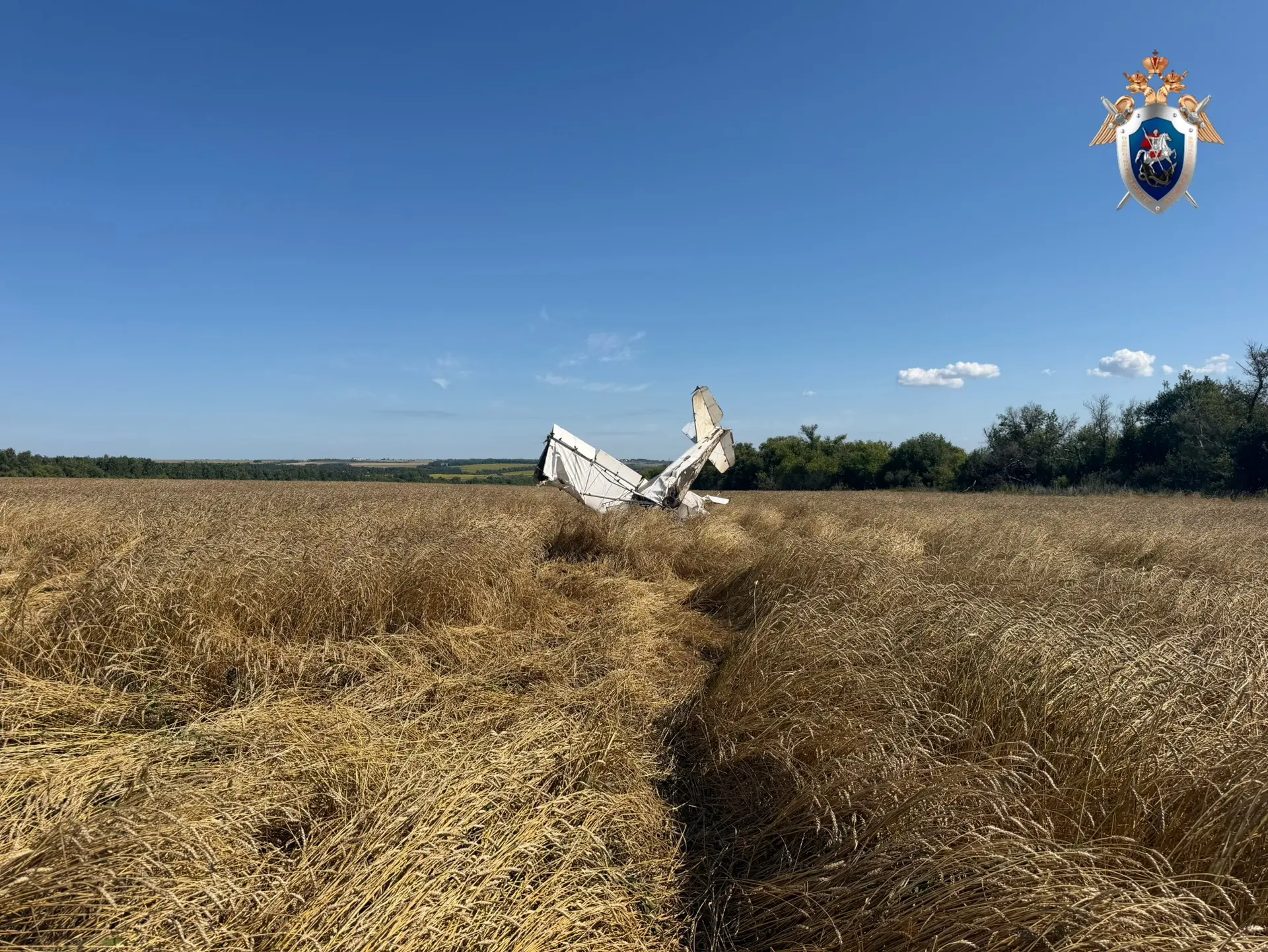 В Самарской области возбуждено уголовное дело из-за крушения самолета