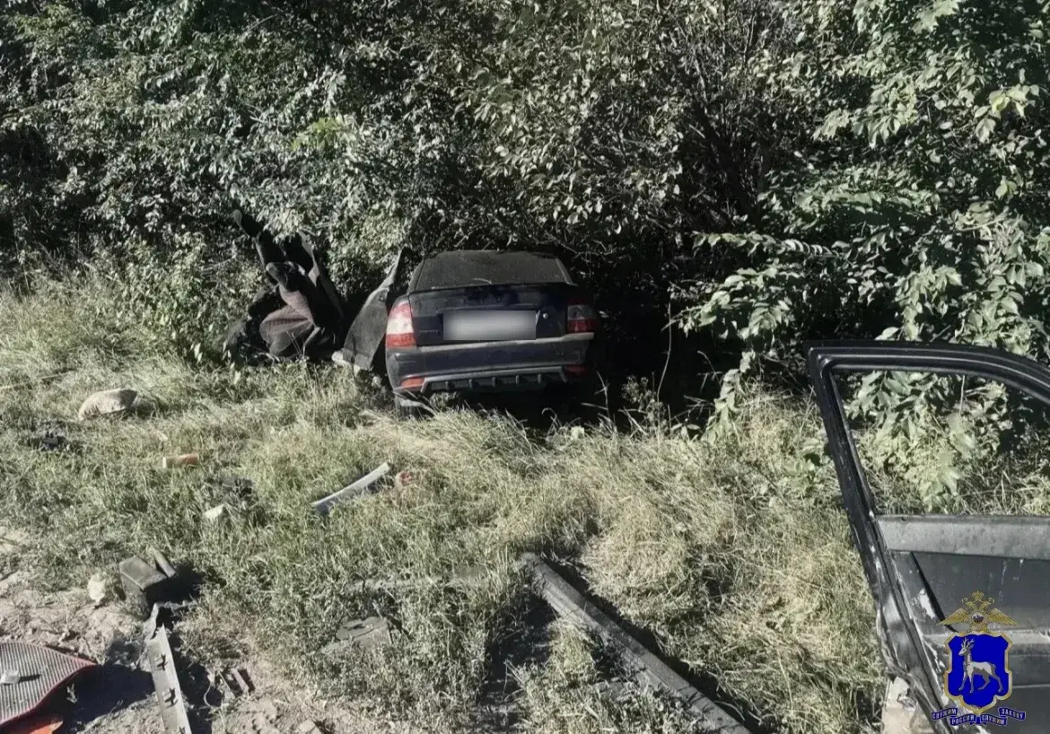 Смертельное ДТП под Самарой: водитель LADA Priora врезался в столб
