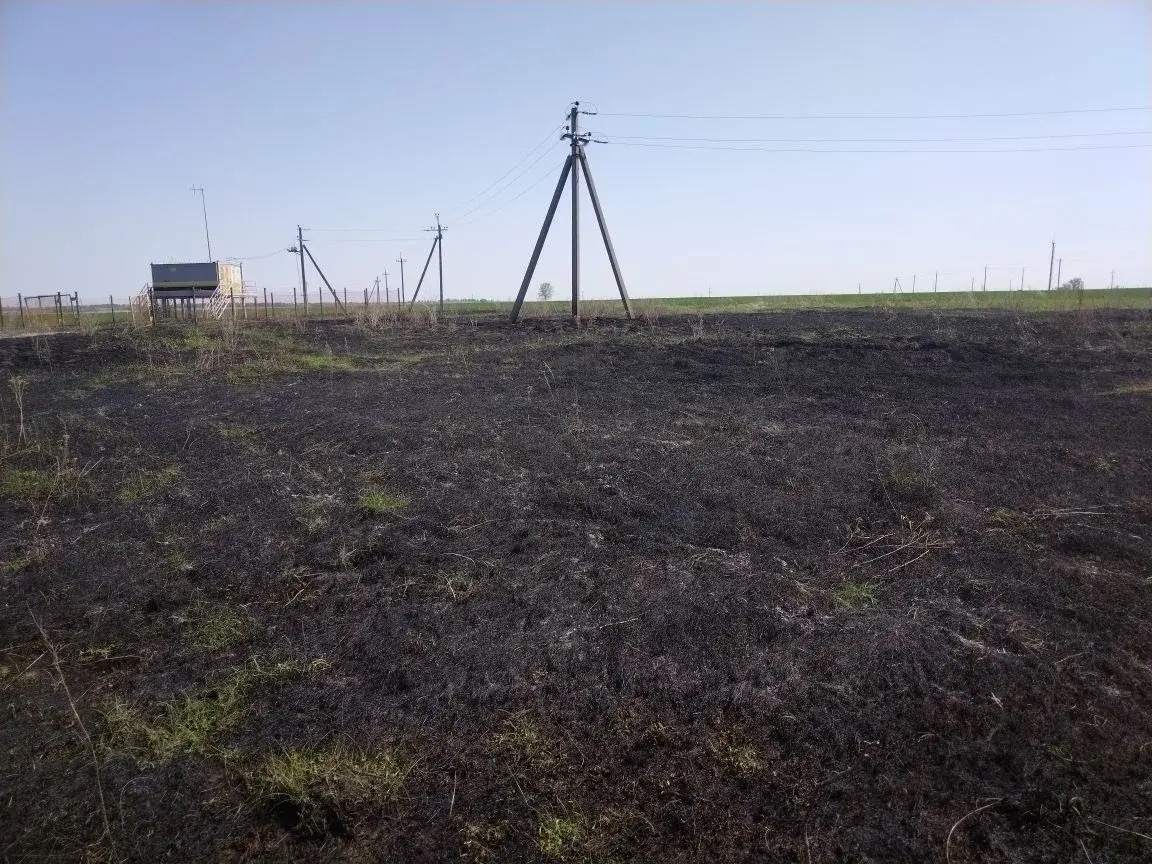 В Кинель-Черкасском районе полыхала трава на 100 "квадратах"