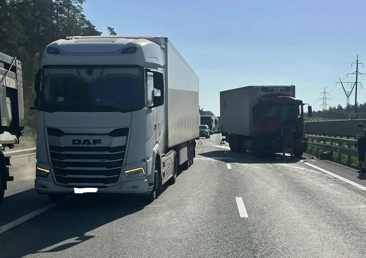 Два большегруза столкнулись на трассе М5 "Урал" в районе Зеленовки 21 мая