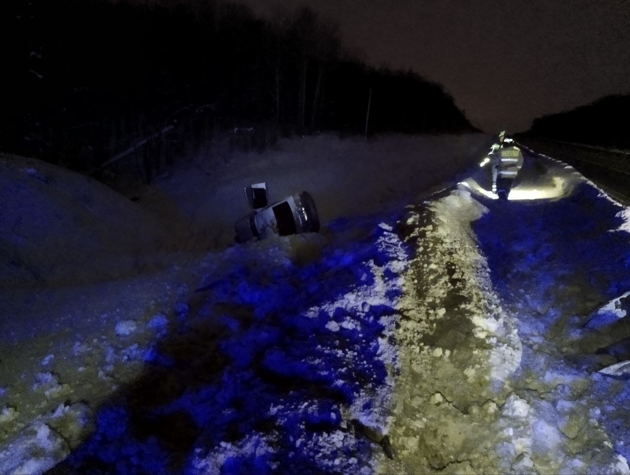 В Самарской области 3 февраля на трассе М5 водитель на Skoda сбил лося
