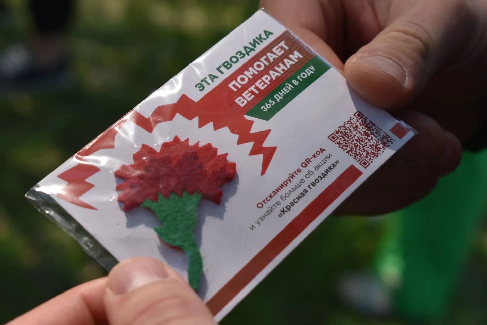 В России стартовала акция "Красная гвоздика"