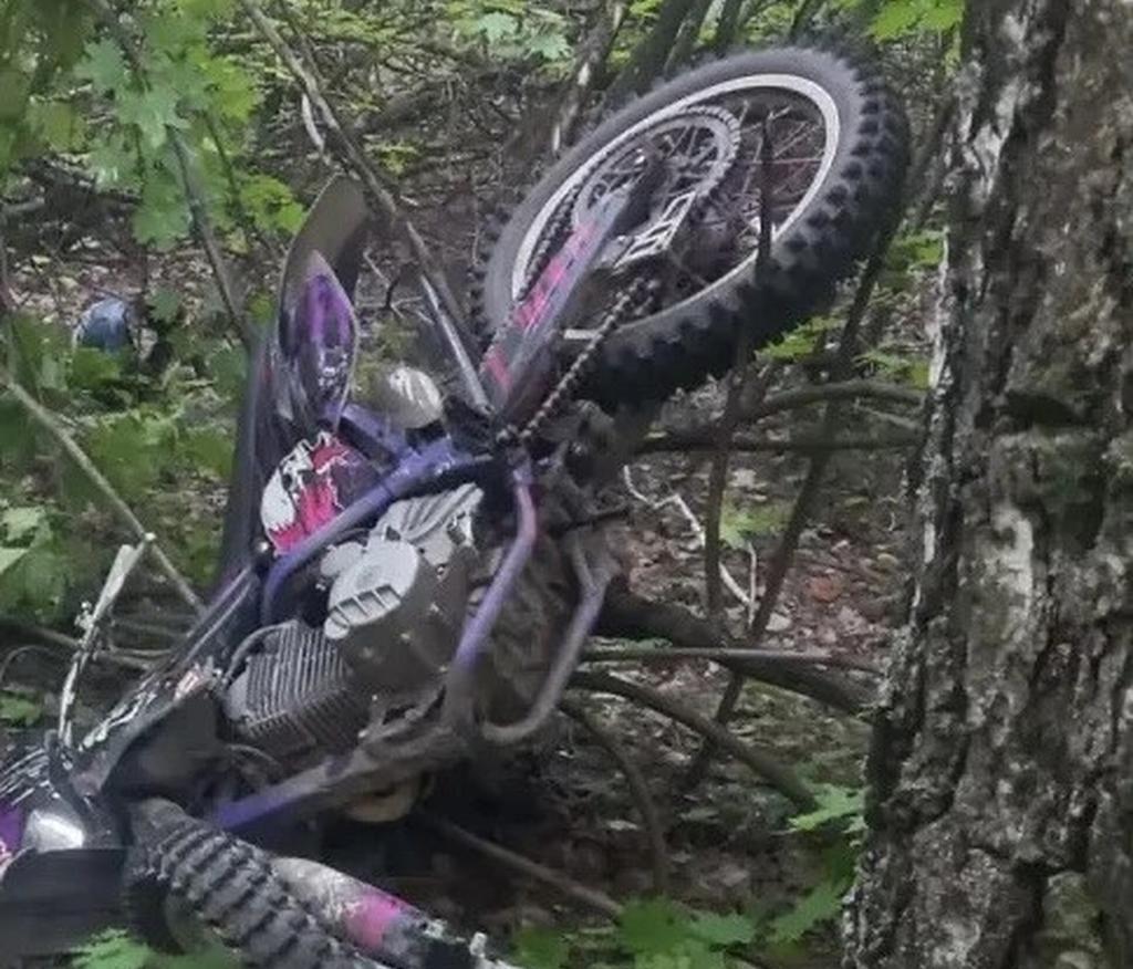 В Сызрани 16-летний юноша на питбайке врезался в дерево и погиб