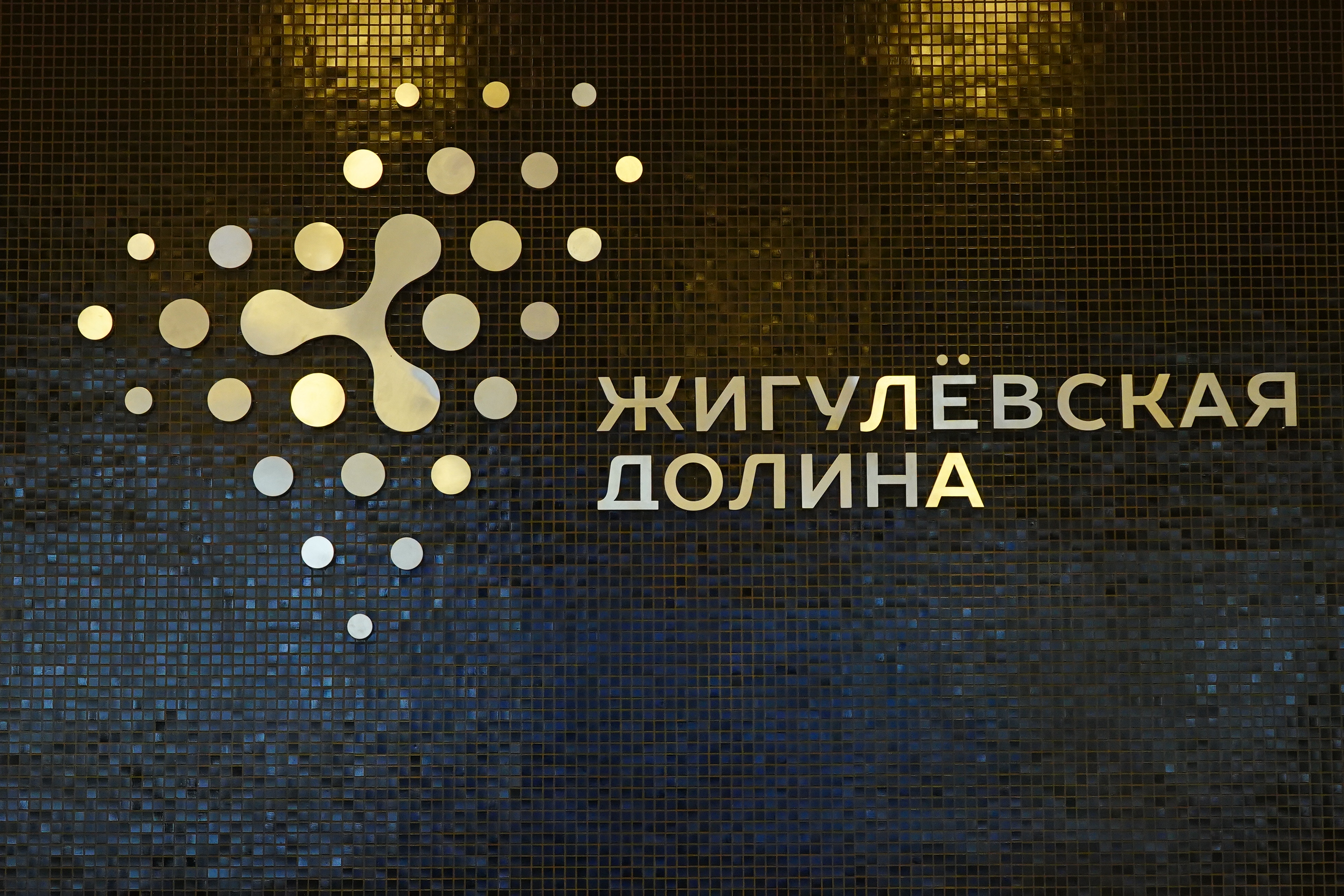 Дмитрий Григоренко оценил возможности для развития ИТ-компаний в Самарской области