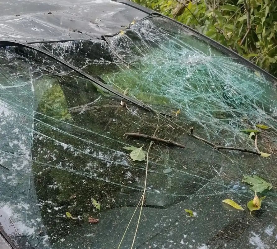 В Самарской области на трассе М5 "Урал" иномарка вылетела с дороги в овраг