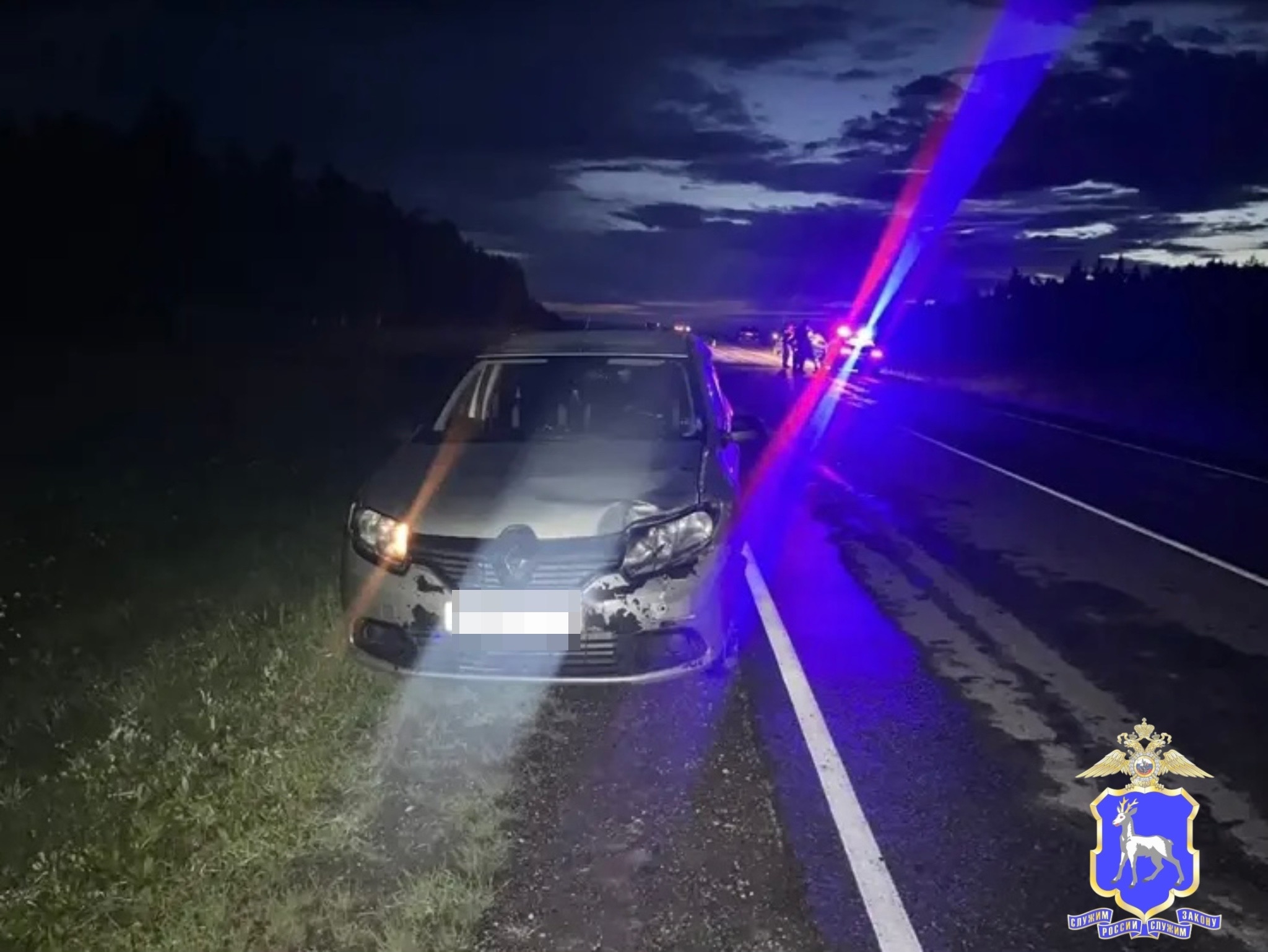 В Клявлинском районе в темноте на трассе мужчина попал под колеса "Рено"