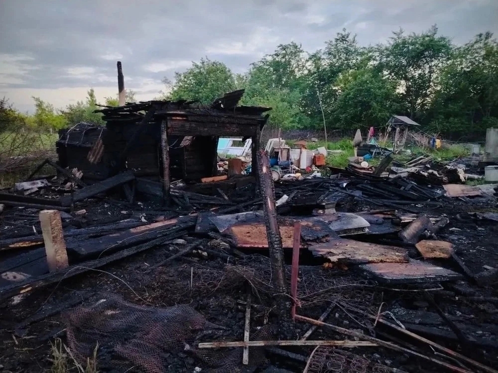 В селе Владимировка полыхали частный дом и постройки на 250 "квадратах"