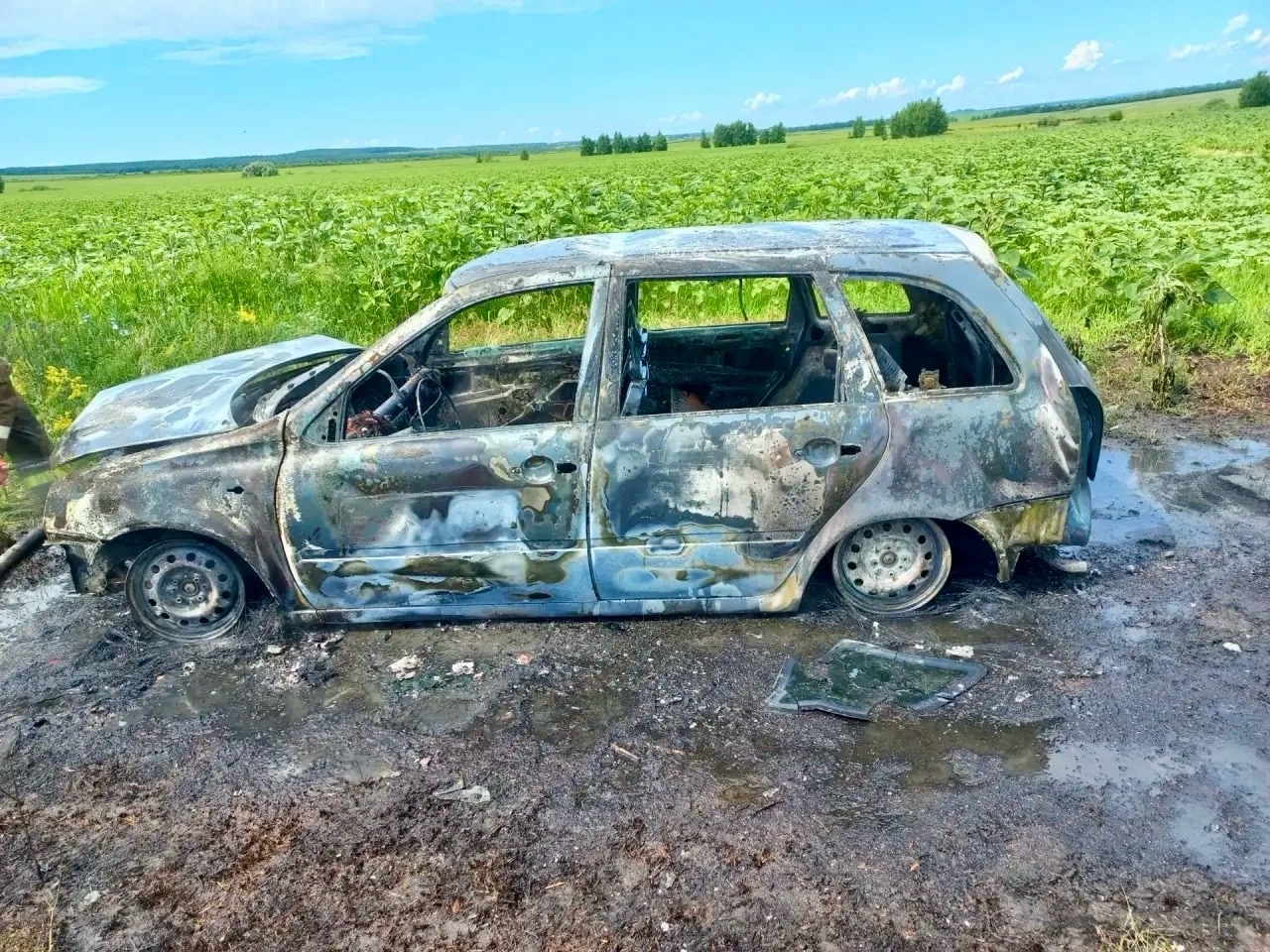 LADA Kalina сгорела в поле у села Большая Ега утром 7 июля