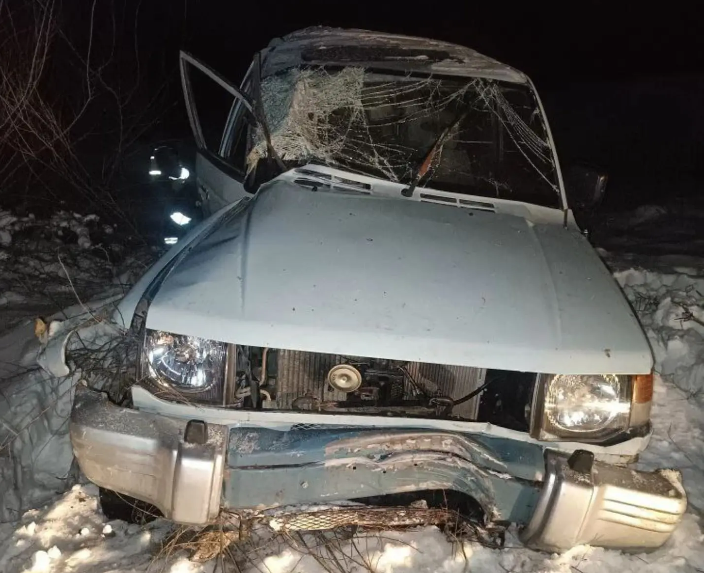 Два человека в больнице: в Борском районе иномарка вылетела в кювет