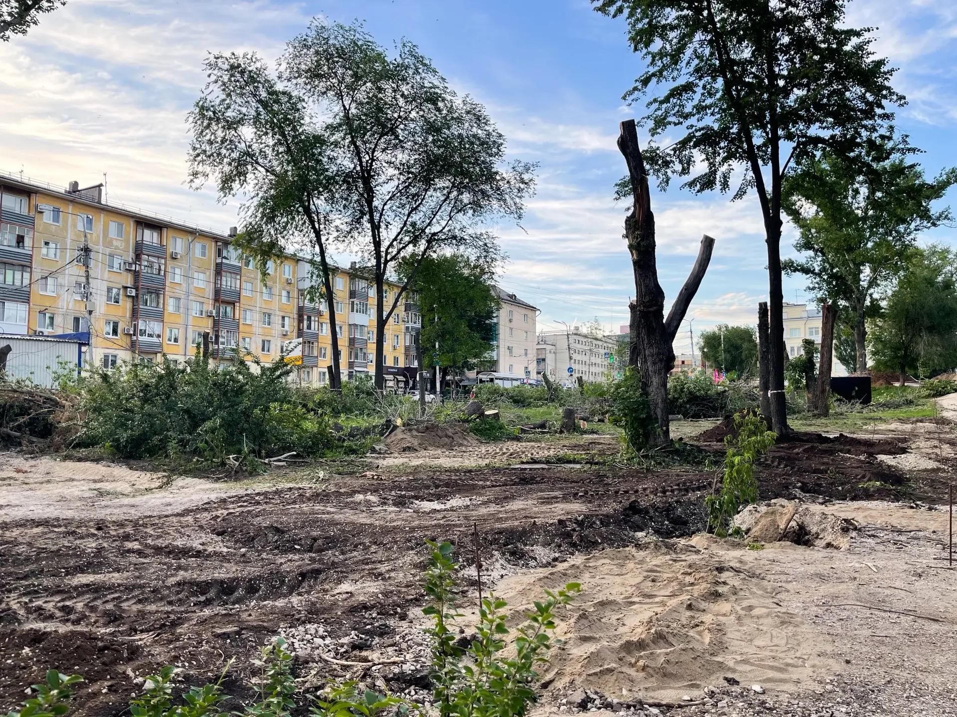 В самарском парке Щорса обновляют входную группу: фото