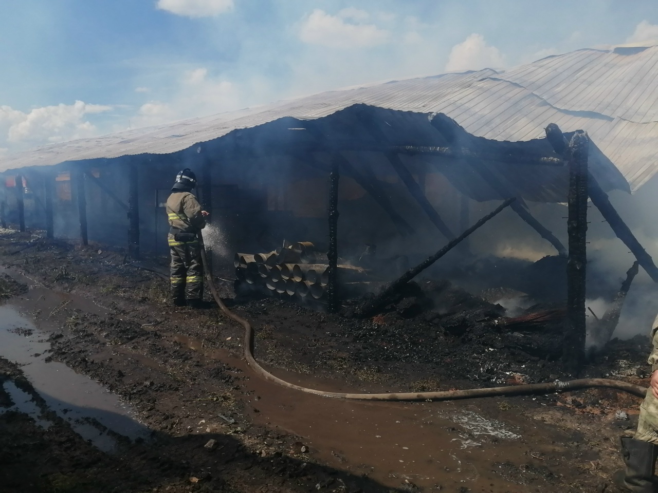 В Красноярском районе полыхали две теплицы на 900 "квадратах"