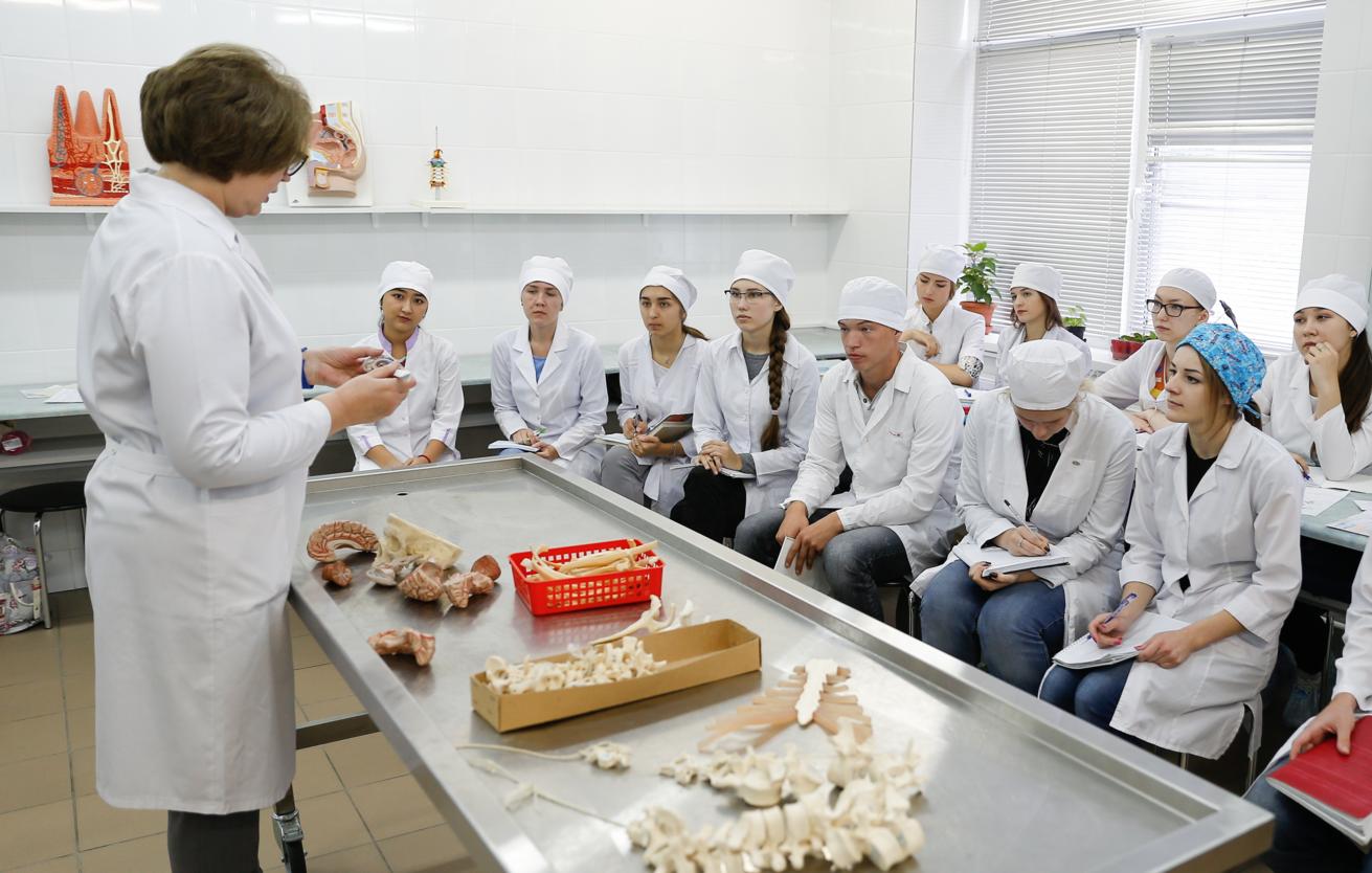 Названы самые популярные специальности в российских колледжах в 2026 году