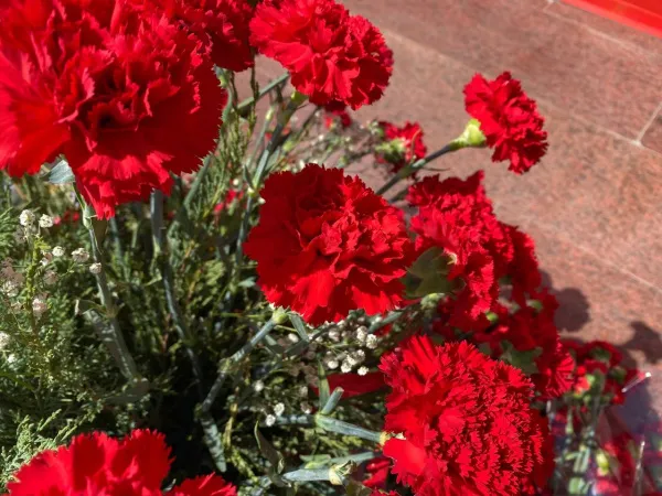 В День защитника Отечества в Самарской области пройдут патриотические мероприятия