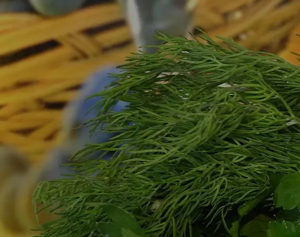 Нутрициолог Мария Чиркова назвала ключевые правила восстановления после праздников