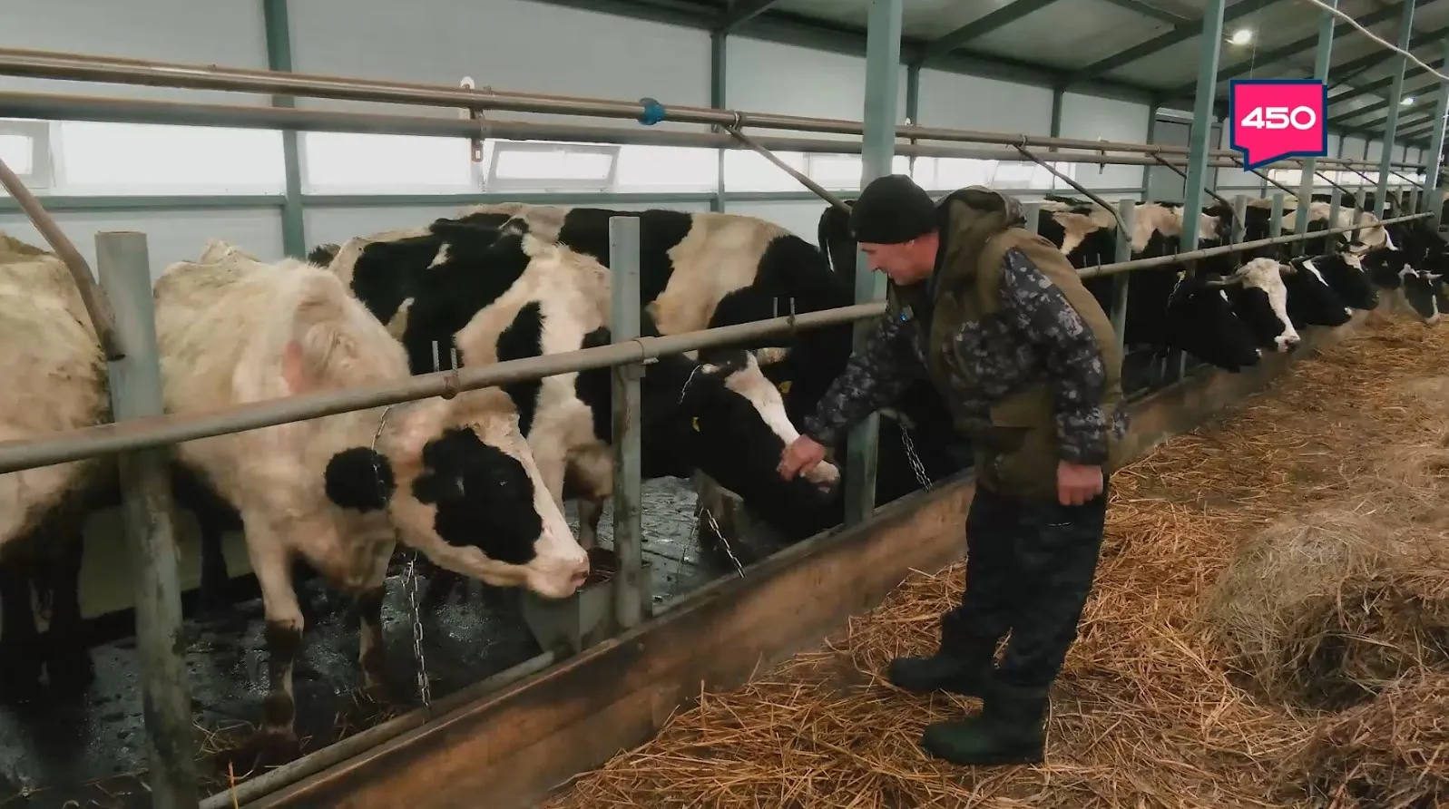 Мечта о молоке. Агрокурьер